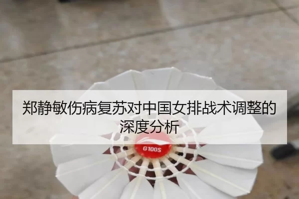 郑静敏伤病复苏对中国女排战术调整的深度分析